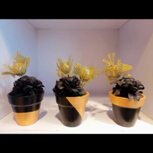 Golden & Black Pot Set (6 inches)