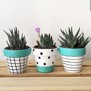 Sea green Pot Set (4 inches)