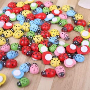 Lady Bug For Plants Decoration