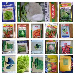 Winter vegetabke seeds