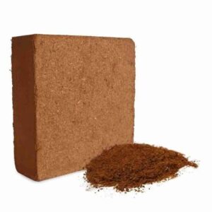 Cocopeat Brick