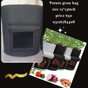 Patato grow bag