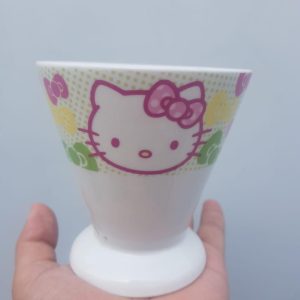 Ceramic pots