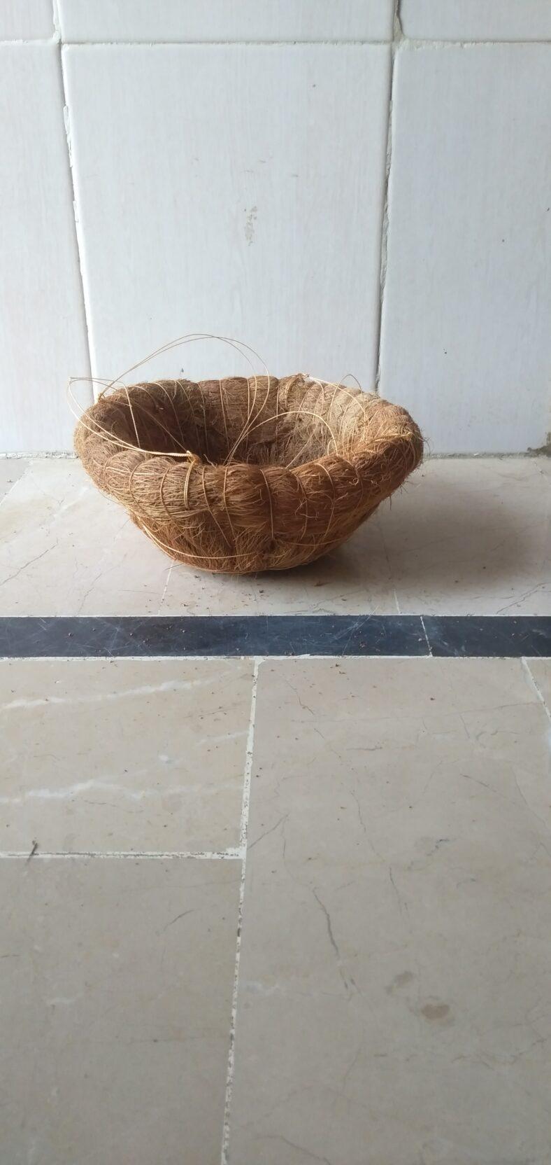 Coconut shell hanging basket Pak Plants