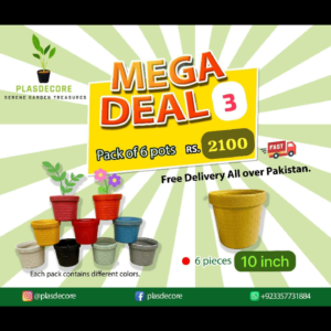 10 inch pots 6 pieces