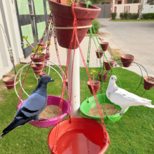 Hanging feeder pots for birds 3 pack