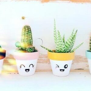 Cute Faces Pots (5 inches)