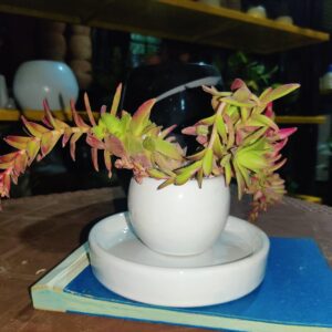 Red pagoda