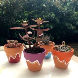 Colorful Pots (4 inches)