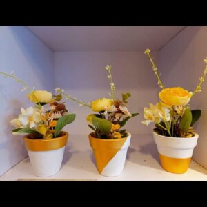 Golden & White Pot Set (6 inches)