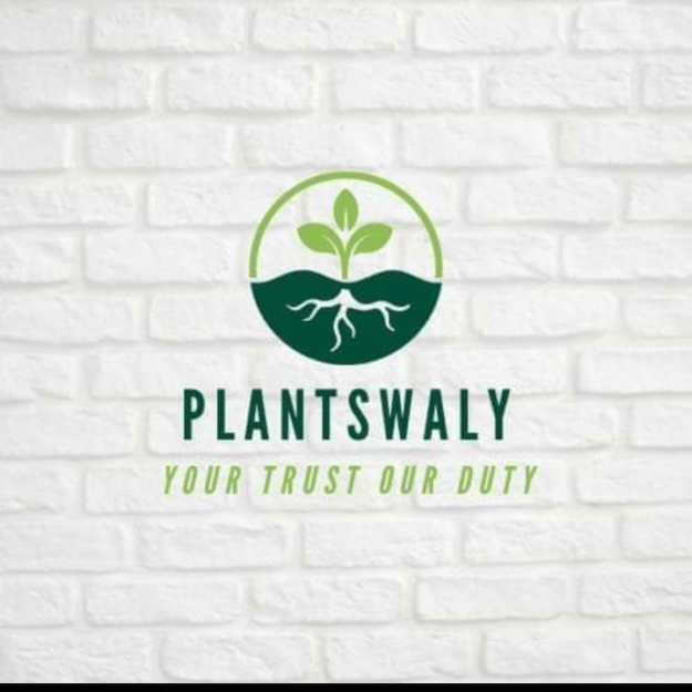 PlantsWaly