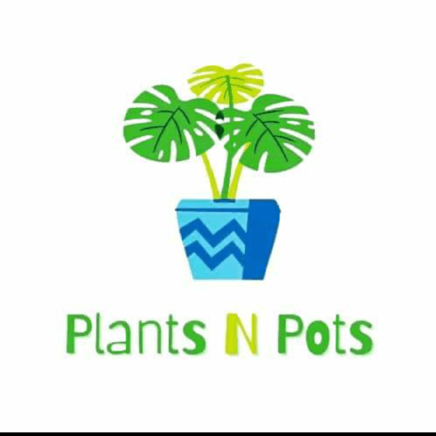 Plants N Pots