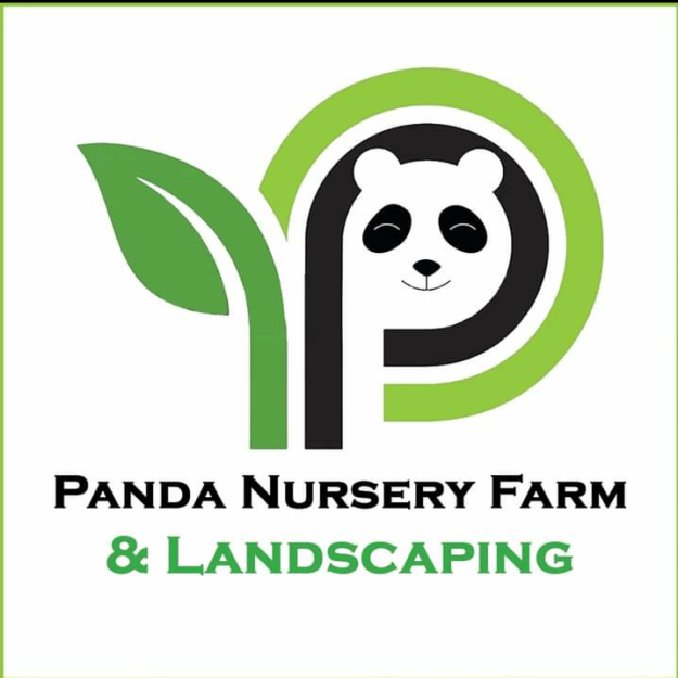 Panda Nursery Farm