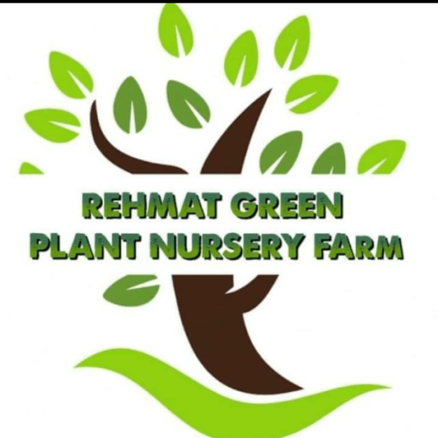 Rehmat Green Plant Nursery Farm