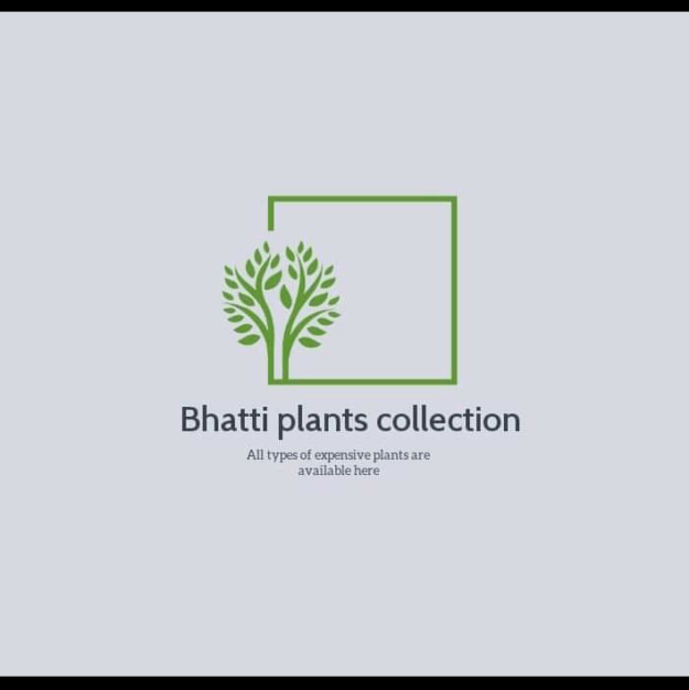 Bhatti Plant Traders