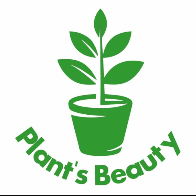 Plants's Beauty