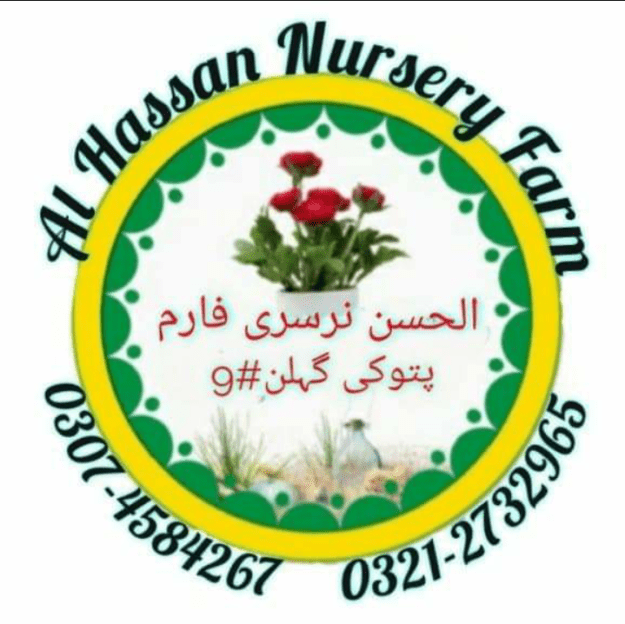 Al Hassan Nursery Farm