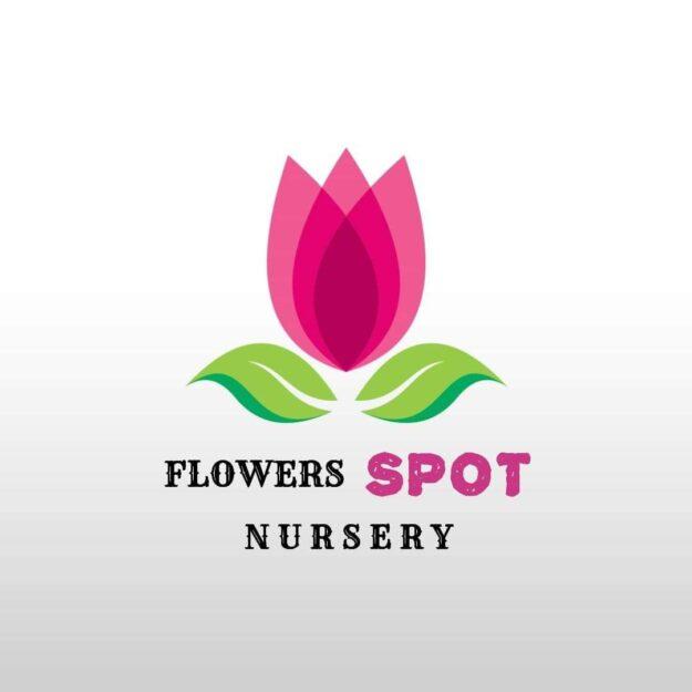 Flowers spot Nursery