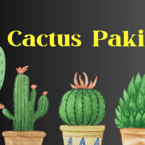 Cactus Pakistan