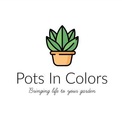Pots In Colors