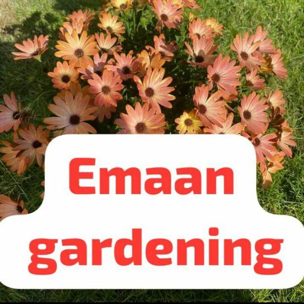 Emann Gardening