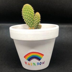 Rainbow Pot (4 inches)