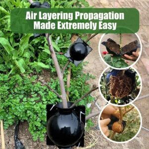 Air Laying Cups