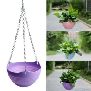 Hanging Basket