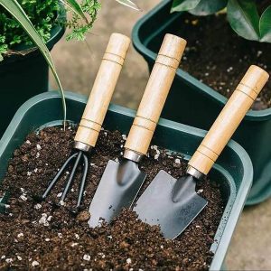 Indoor Tools for Gardening