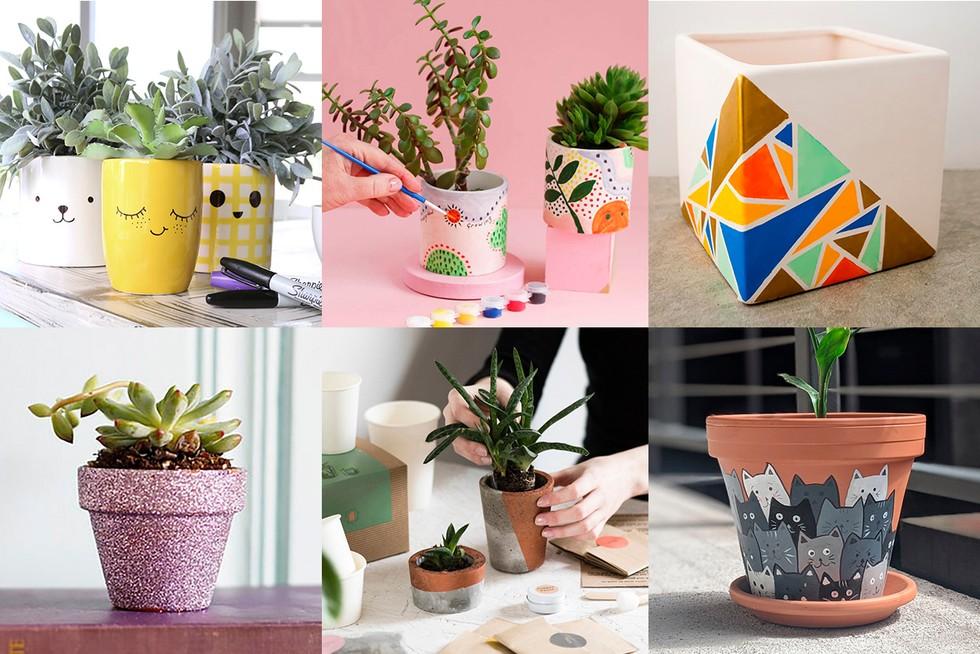 Plant Pots Made Easy: Your Guide to Selection and Care