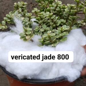 Verigated jade