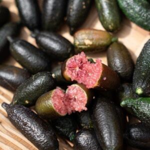 Red centred lime imported