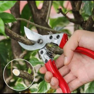 Plants Cutter