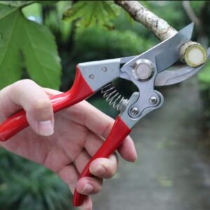 Plants Cutter