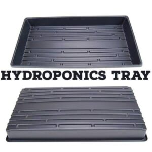 Hydroponic try