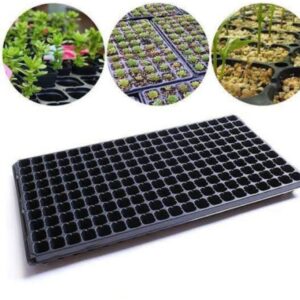 Seedlings try 128 holes