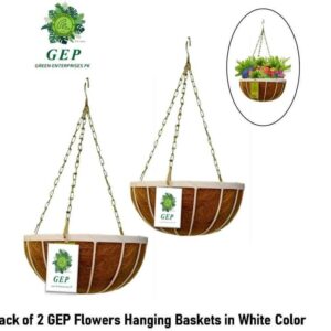 Hanging Basket with matel Frame