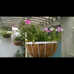 Big hanging pots