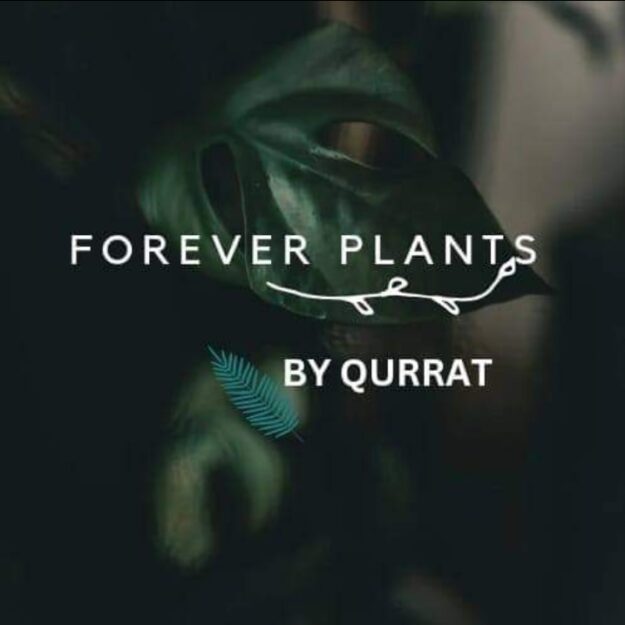 Forever Gardening By Qurrat
