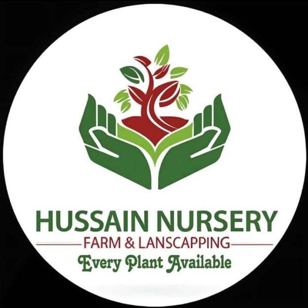 Hussain Nursery Farm and Landscaping