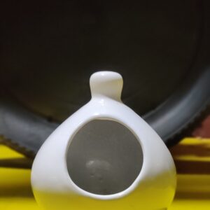 Nest Hanging Ceramic Pot