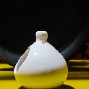 Nest Hanging Ceramic Pot