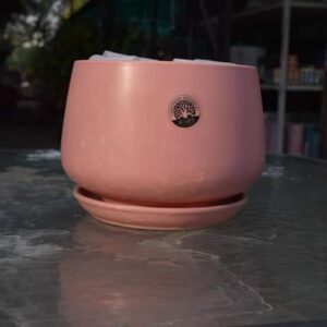 Ceramic pots with plate