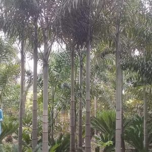 Fb Img 1716994796643