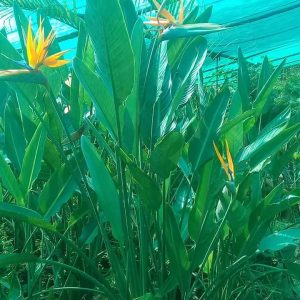 Fb Img 1716994804690