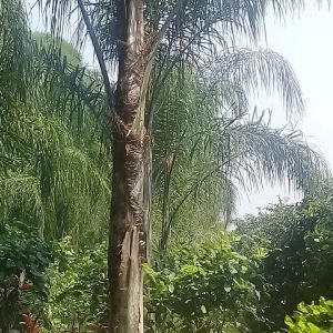 Fb Img 1716994827997