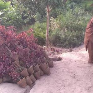 Fb Img 1717134799119