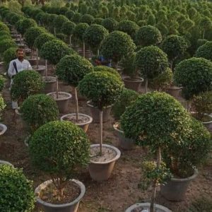 Fb Img 1717138283626