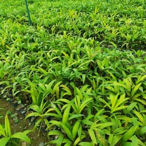 Fb Img 1717138303004