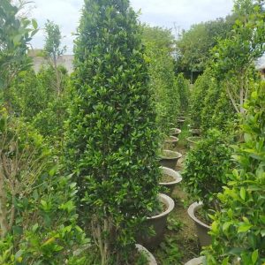 Fb Img 1717138326396